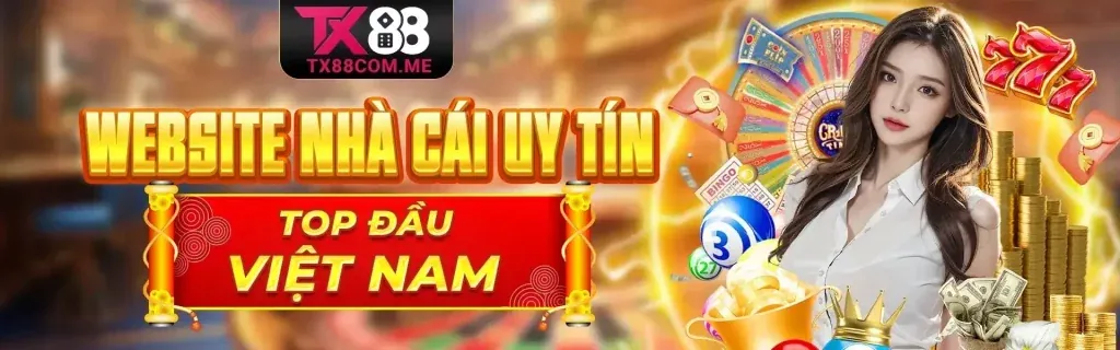 Điều Khoản và Điều Kiện của bl5555